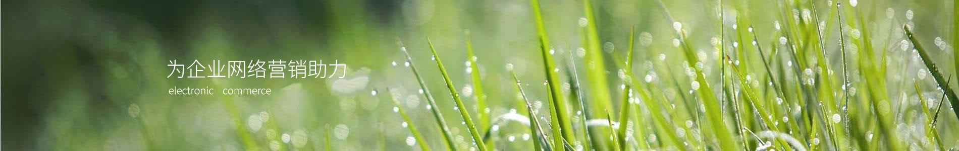 ½ʿܿƼ޹˾